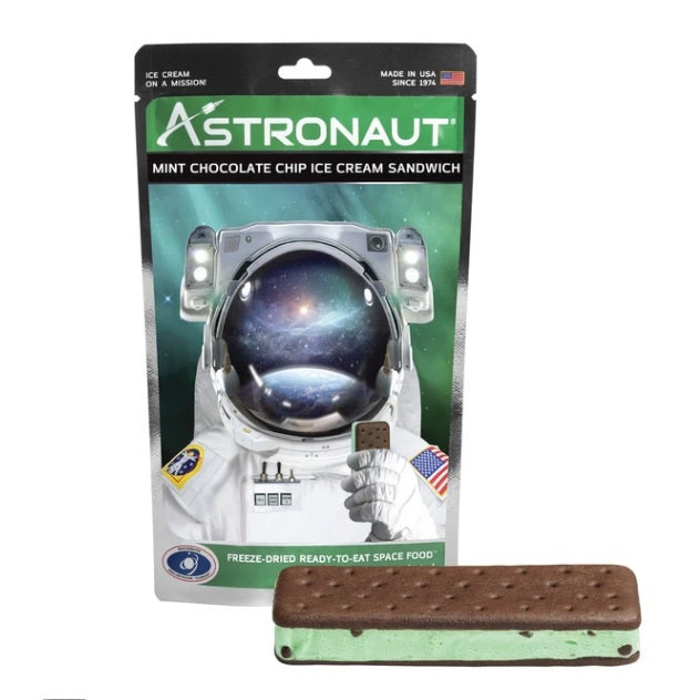 Mint Chocolate Chip Astronaut Ice Cream
